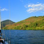 Ânima Durius - Stella Maris - Private boat tours